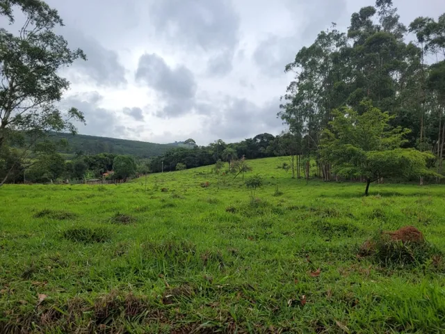 Imagem 5: Fazenda de 18 Há em Carmópolis de Minas Mg