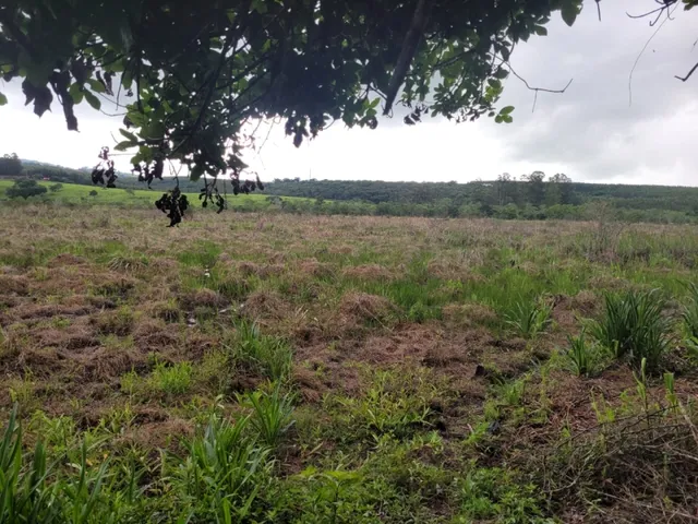 Imagem 13: Fazenda de 18 Há em Carmópolis de Minas Mg