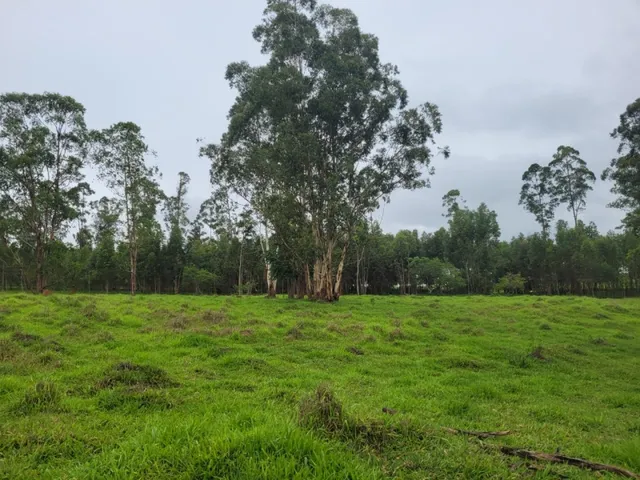 Imagem 15: Fazenda de 18 Há em Carmópolis de Minas Mg