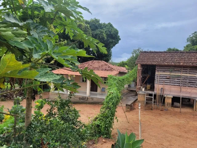 Imagem 7: Fazenda de 18 Há em Carmópolis de Minas Mg