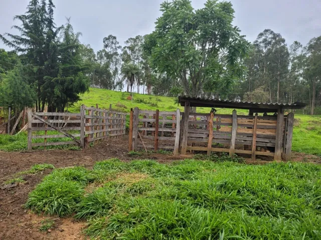 Imagem 10: Fazenda de 18 Há em Carmópolis de Minas Mg