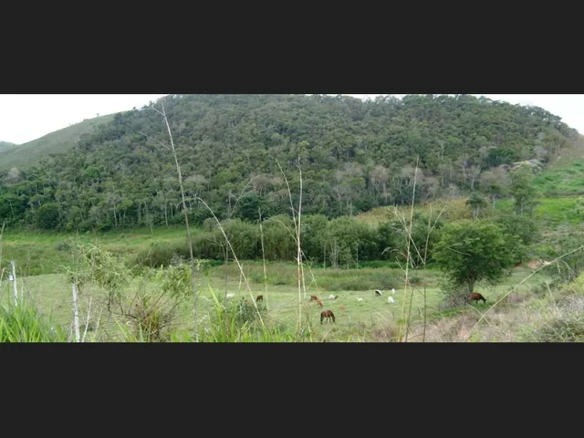 Imagem 3: Lote 1000 M² Jardins Continente Grama/Coronel Pacheco