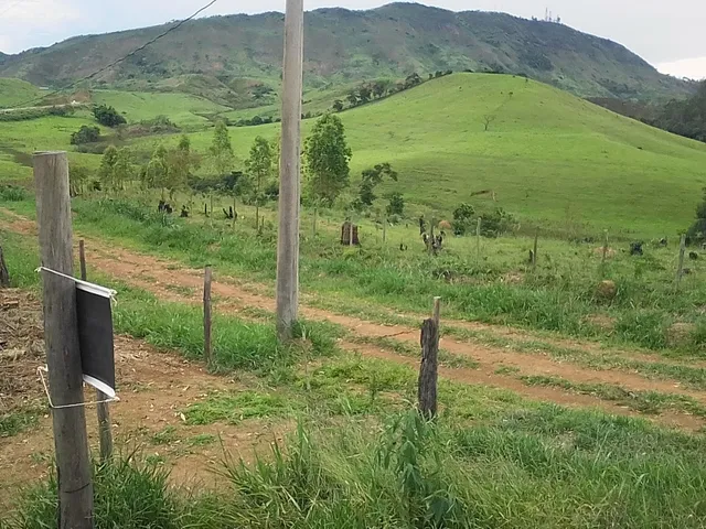 Imagem 9: Lote 1000 M² Jardins Continente Grama/Coronel Pacheco