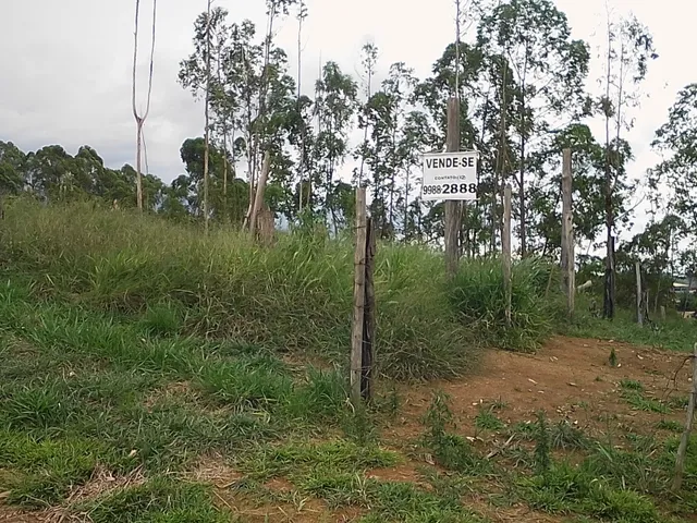 Imagem 7: Lote 1000 M² Jardins Continente Grama/Coronel Pacheco