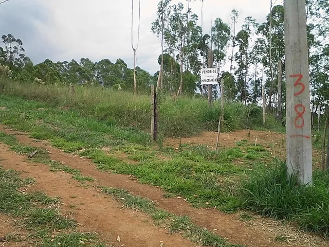 Imagem 2: Lote 1000 M² Jardins Continente Grama/Coronel Pacheco