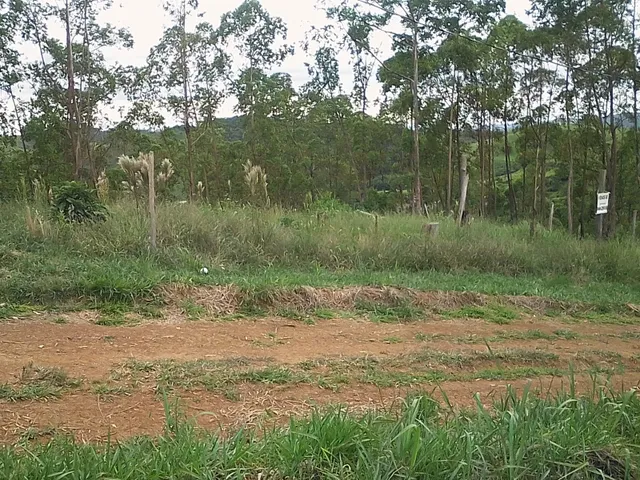 Imagem 5: Lote 1000 M² Jardins Continente Grama/Coronel Pacheco