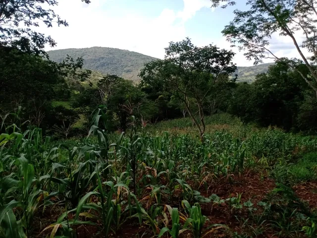 Imagem: Terreno de 9 Há em Itaguara Mg