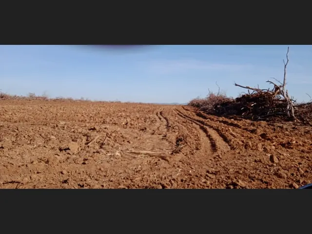 Imagem 2: 201 Alqs Arrendamento Disponivel pra Soja Formosa Go