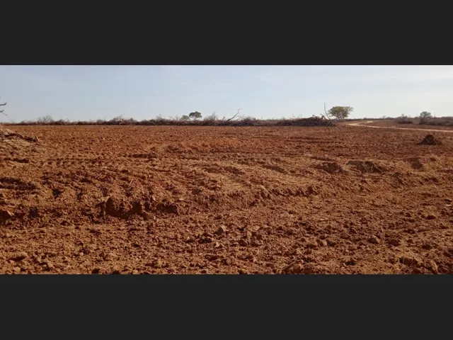 Imagem 3: 201 Alqs Arrendamento Disponivel pra Soja Formosa Go