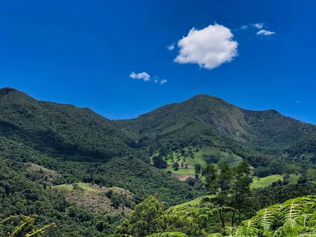 Imagem 15: Sítio com Casa, Cachoeira e Nascente em Aiuruoca-Mg