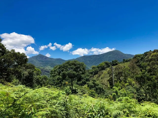 Imagem 4: Sítio com Casa, Cachoeira e Nascente em Aiuruoca-Mg