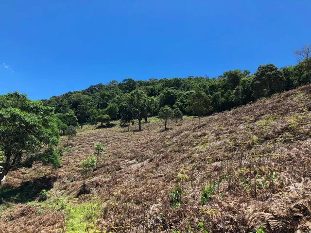 Imagem 14: Sítio com Casa, Cachoeira e Nascente em Aiuruoca-Mg
