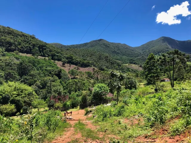 Imagem 7: Sítio com Casa, Cachoeira e Nascente em Aiuruoca-Mg