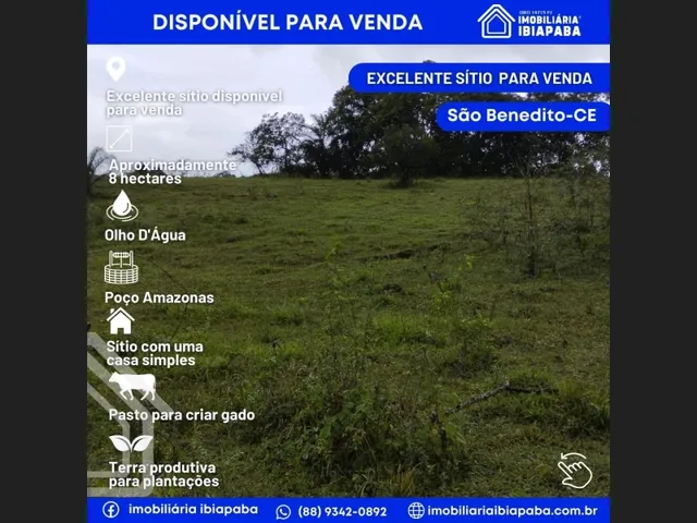 Imagem 1: Excelente Propriedade Rural para Venda em São Benedito