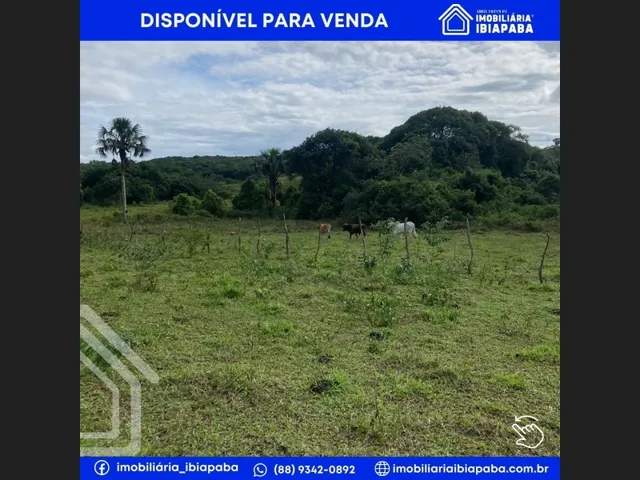 Imagem 4: Excelente Propriedade Rural para Venda em São Benedito