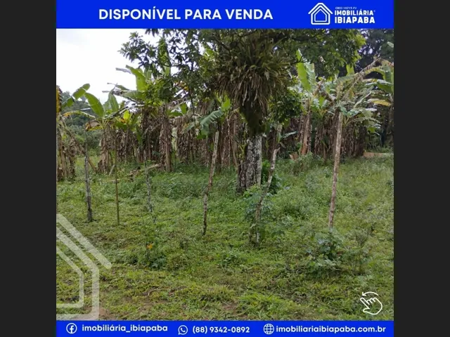 Imagem 7: Excelente Propriedade Rural para Venda em São Benedito
