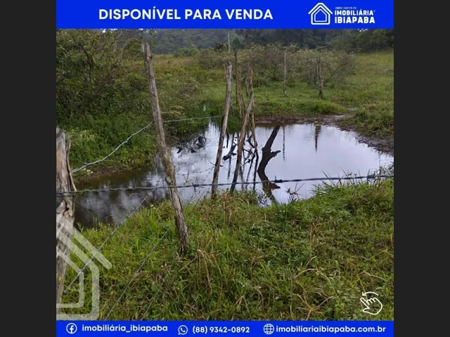 Imagem 5: Excelente Propriedade Rural para Venda em São Benedito