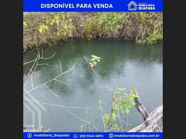 Imagem 6: Excelente Propriedade Rural para Venda em São Benedito
