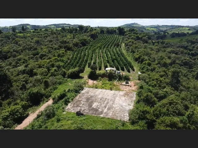 Imagem 15: Fazenda de 55 Há em Carmópolis de Minas Mg