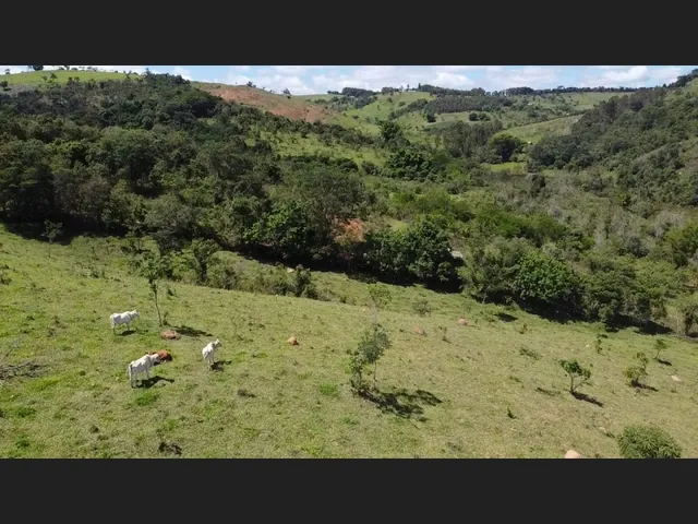 Imagem 2: Fazenda de 55 Há em Carmópolis de Minas Mg