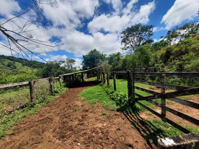 Imagem 8: Fazenda de 55 Há em Carmópolis de Minas Mg