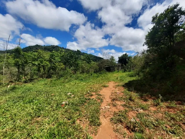 Imagem 10: Fazenda de 55 Há em Carmópolis de Minas Mg