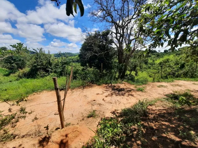 Imagem 4: Fazenda de 55 Há em Carmópolis de Minas Mg