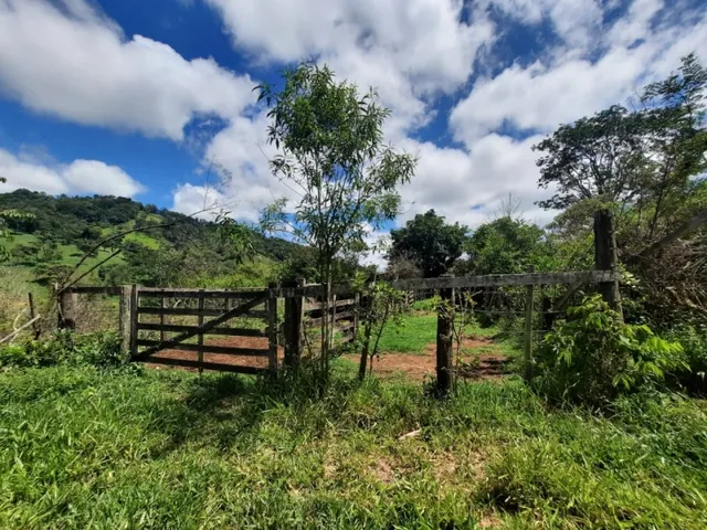 Imagem 6: Fazenda de 55 Há em Carmópolis de Minas Mg