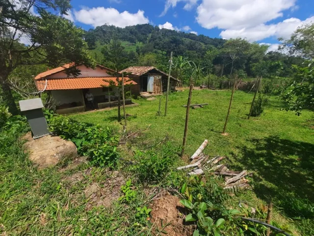 Imagem 3: Fazenda de 55 Há em Carmópolis de Minas Mg