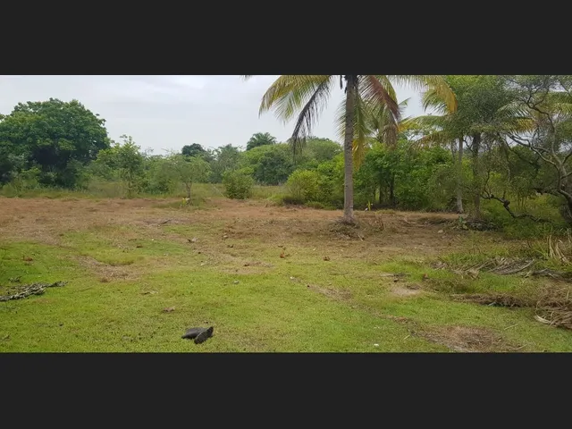 Imagem: Fazenda a Venda em Salinas da Margarida