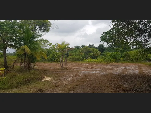 Imagem 4: Fazenda a Venda em Salinas da Margarida