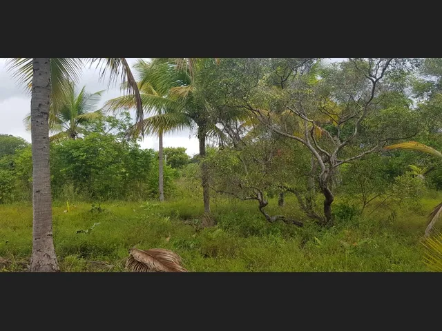 Imagem 2: Fazenda a Venda em Salinas da Margarida