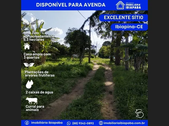Imagem: Excelente Propriedade Rural com Plantações