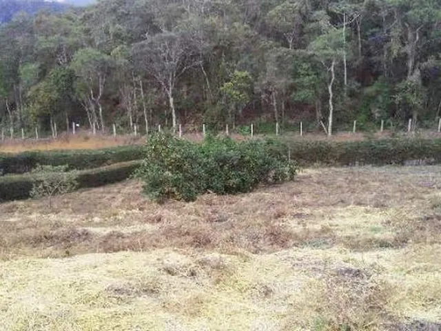Imagem 5: Imóvel Condomínio Eco da Floresta - Domingos Martins/Es