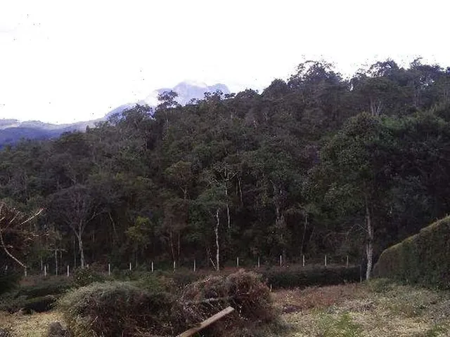 Imagem 7: Imóvel Condomínio Eco da Floresta - Domingos Martins/Es