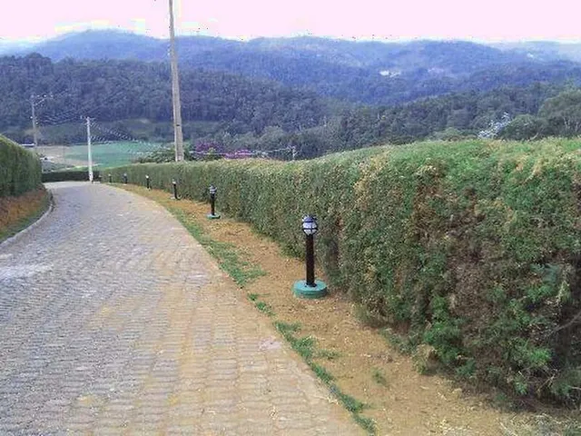 Imagem 2: Imóvel Condomínio Eco da Floresta - Domingos Martins/Es