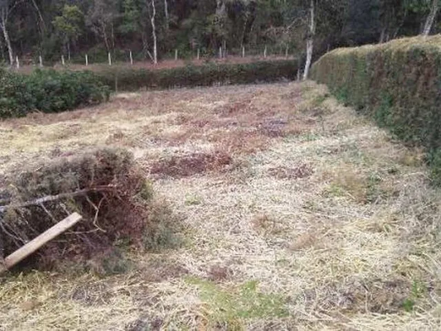 Imagem 4: Imóvel Condomínio Eco da Floresta - Domingos Martins/Es