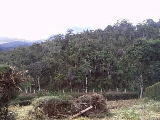 Imagem 6: Imóvel Condomínio Eco da Floresta - Domingos Martins/Es