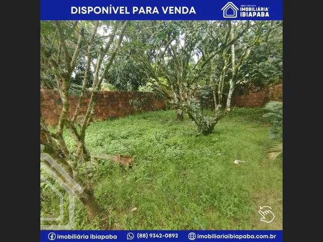 Imagem 3: Excelente Chácara Disponível para Venda em Ubajara