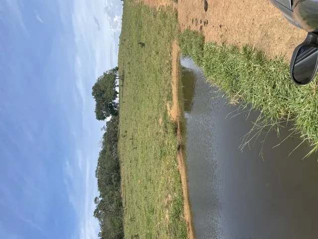 Imagem 7: 20 Alqueires Fazenda / sítio com venda por R$6.000.000