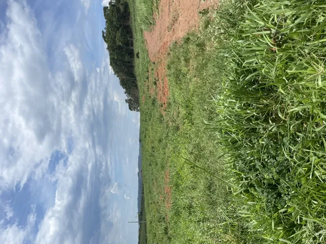 Imagem 9: 20 Alqueires Fazenda / sítio com venda por R$6.000.000