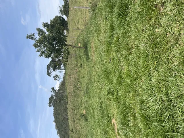 Imagem 8: 20 Alqueires Fazenda / sítio com venda por R$6.000.000