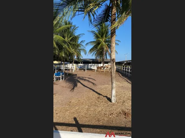 Imagem 7: Fazenda/Granja na Lagoa do Bonfim, 5 Quartos, Sendo 1 Suíte, Mobiliada. 7800M²