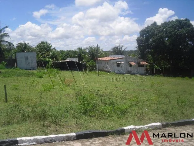 Imagem 3: Fazenda/Granja em Pium, 4 Quartos, Duplex. 55000M²