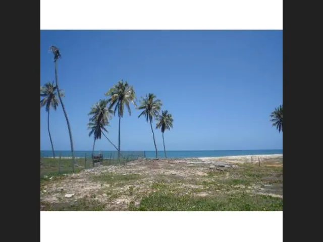 Imagem: Terreno na Praia de Muriú, Beira Mar. 540M²