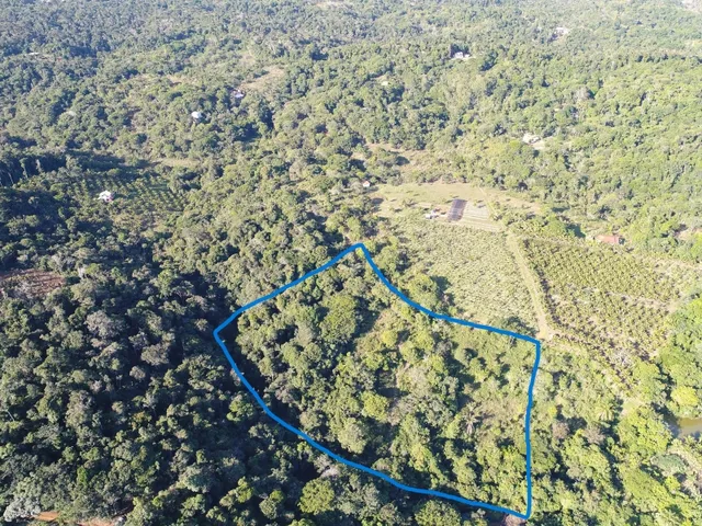 Imagem 11: Linda Gleba Rural de 2Ha com Rio
