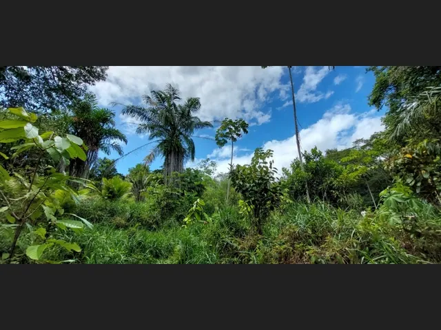 Imagem 8: Linda Gleba Rural de 2Ha com Rio