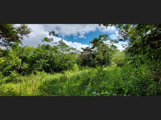 Imagem 15: Linda Gleba Rural de 2Ha com Rio