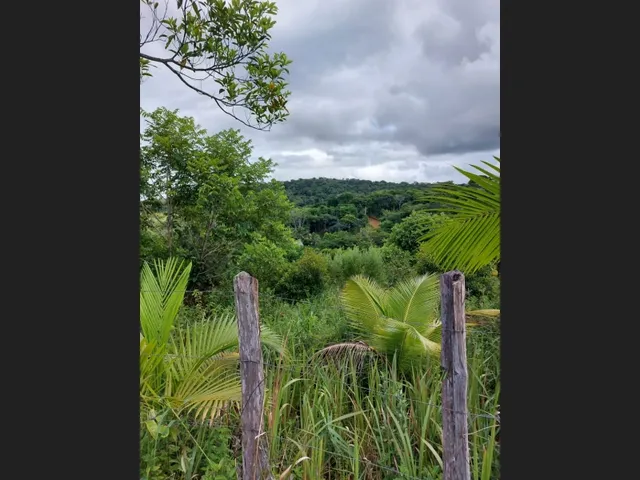 Imagem 4: Linda Gleba Rural de 2Ha com Rio