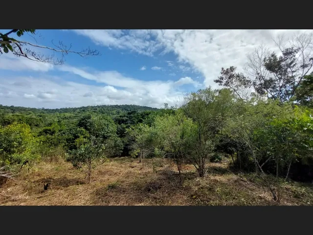 Imagem 9: Linda Gleba Rural de 2Ha com Rio